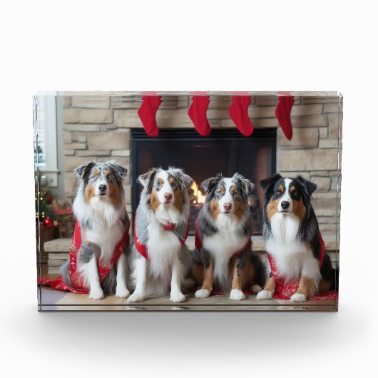 Australian Shepherd bij de open haard Kerstmis Fotoblokken (Voorkant)
