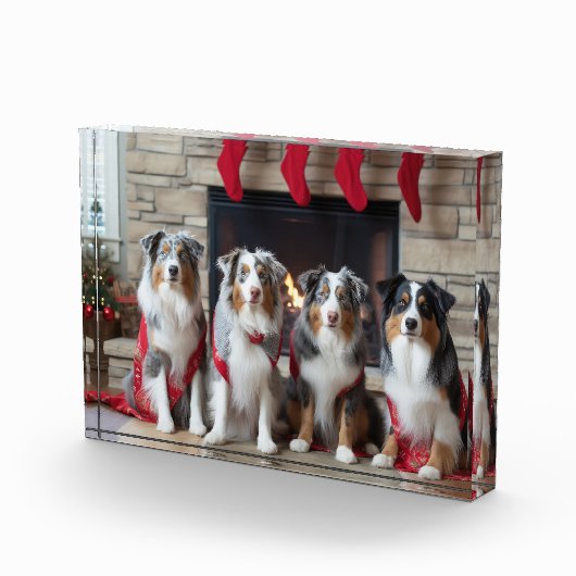 Australian Shepherd bij de open haard Kerstmis Fotoblokken (Rechts)