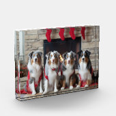 Australian Shepherd bij de open haard Kerstmis Fotoblokken (Links)