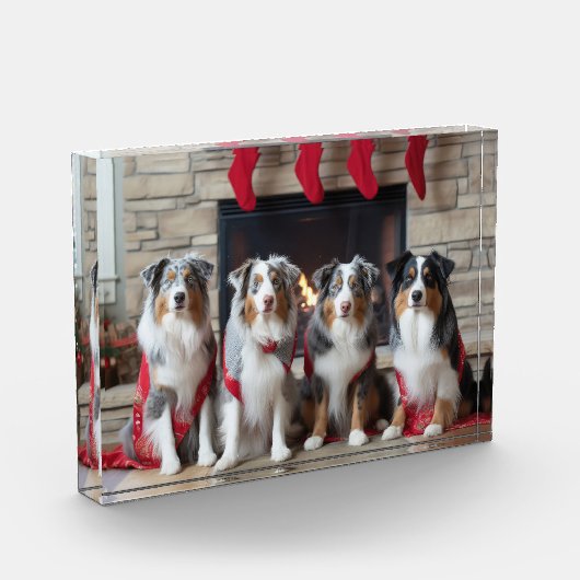 Australian Shepherd bij de open haard Kerstmis Fotoblokken (Links)