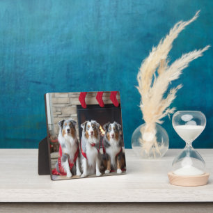 Australian Shepherd bij de open haard Kerstmis Fotoplaat