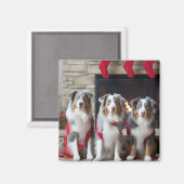 Australian Shepherd bij de open haard Kerstmis Magneet (Voorkant / Achterkant)