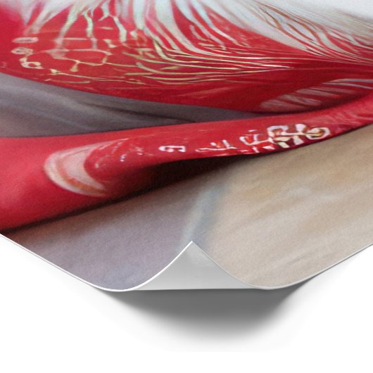 Australian Shepherd bij de open haard Kerstmis Poster (Hoek)