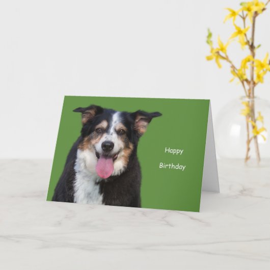 Australian Shepherd Birthday by Focus for a Oorzaa Kaart (Gele Bloem)