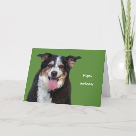Australian Shepherd Birthday by Focus for a Oorzaa Kaart (Voorkant)