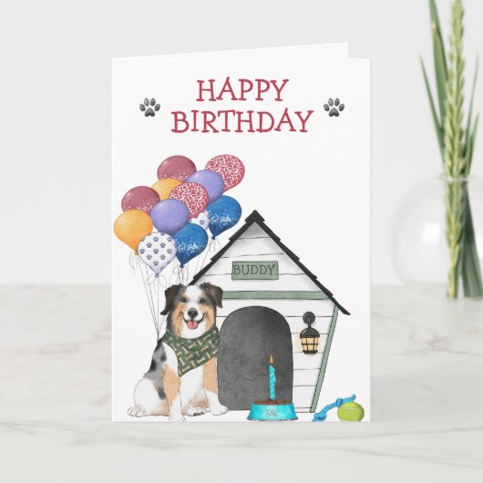 Australian Shepherd Birthday Party Kaart (Voorkant)