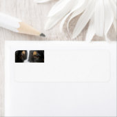 Australian-Shepherd-Black Tri Ogen Etiket (Insitu)