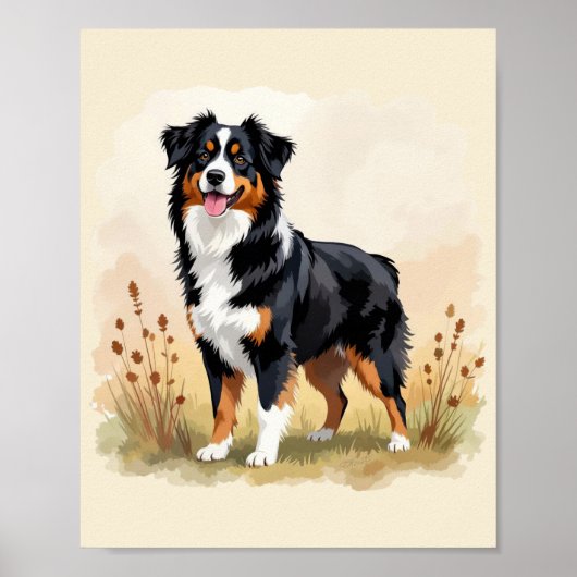 Australian Shepherd Black Tricolor Aussie Dog Poster (Voorkant)