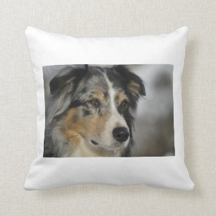 australian-shepherd-blue merle 2.png kussen