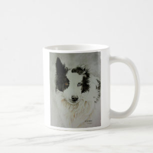 Australian Shepherd & Border Collie Mix Mok