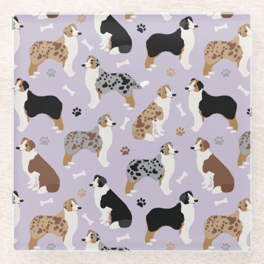Australian Shepherd Botten and Paws Glazen Onderzetter (Voorkant)