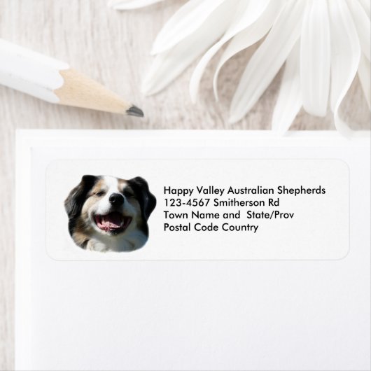 Australian Shepherd Breeder Sticker (Insitu)