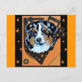 AUSTRALIAN SHEPHERD BRIEFKAART (Voorkant)