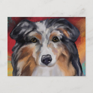 AUSTRALIAN SHEPHERD    BRIEFKAART