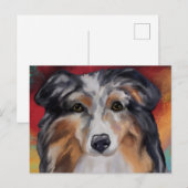 AUSTRALIAN SHEPHERD BRIEFKAART (Voorkant / Achterkant)