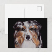 AUSTRALIAN SHEPHERD     BRIEFKAART (Voorkant / Achterkant)