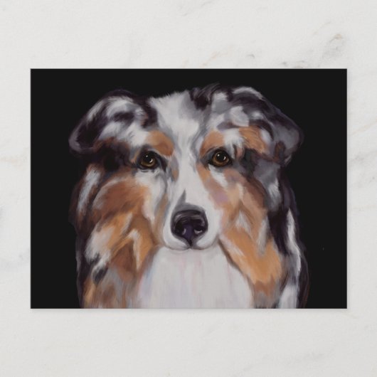 AUSTRALIAN SHEPHERD     BRIEFKAART (Voorkant)