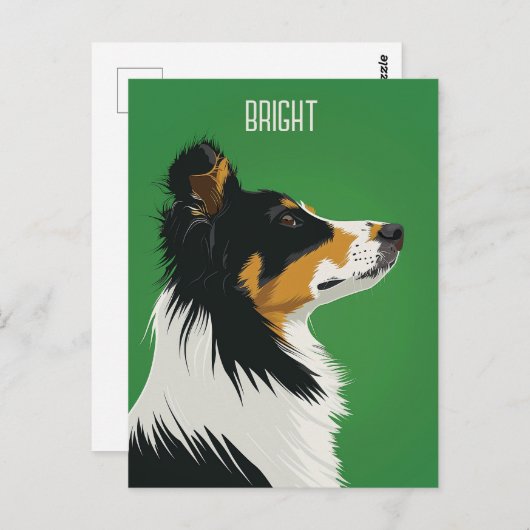 Australian Shepherd Briefkaart (Voorkant / Achterkant)
