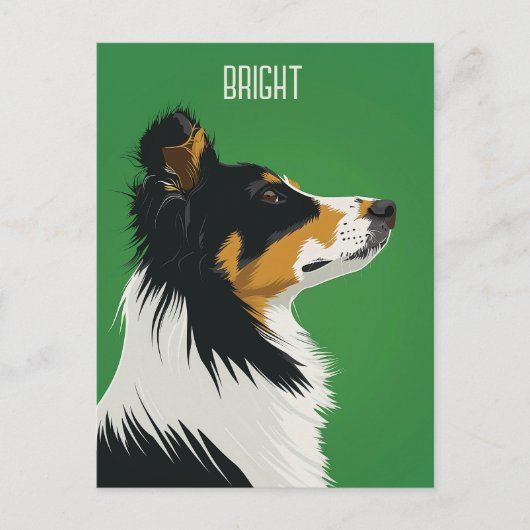 Australian Shepherd Briefkaart (Voorkant)