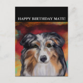 AUSTRALIAN SHEPHERD BRIEFKAART (Voorkant)
