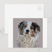 Australian Shepherd Briefkaart (Voorkant / Achterkant)