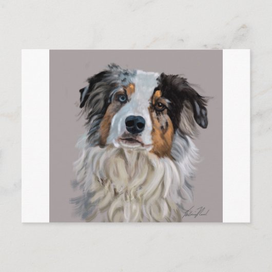 Australian Shepherd Briefkaart (Voorkant)