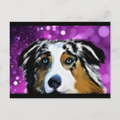 AUSTRALIAN SHEPHERD  BRIEFKAART (Voorkant)