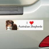 Australian Shepherd bumpersticker (Op auto)