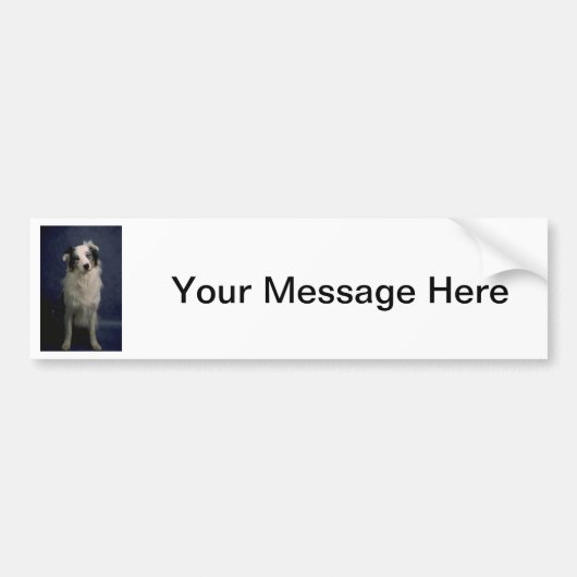 Australian Shepherd Bumpersticker (Voorkant)