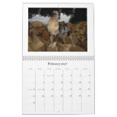 Australian Shepherd Calander Kalender (Feb 2027)