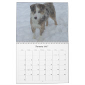 Australian Shepherd Calander Kalender (Jan 2027)
