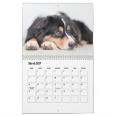 Australian Shepherd Calendar Kalender (Mar 2027)