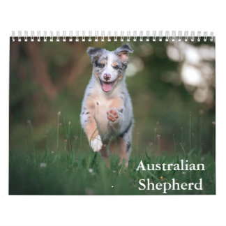 Australian Shepherd Calendar Kalender