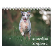 Australian Shepherd Calendar Kalender (Hoes)