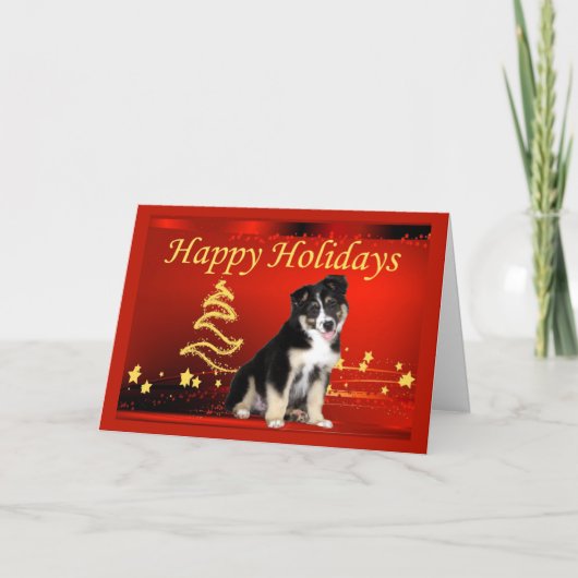 Australian Shepherd Christmas Kaart Stars (Voorkant)