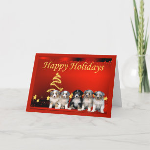 Australian Shepherd Christmas Kaart Stars