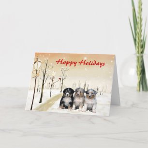 Australian Shepherd Christmas Kaart Urban