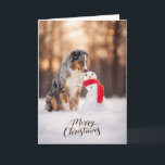 Australian Shepherd Christmas Snowman Feestdagen Kaart<br><div class="desc">A beautiful Christmas card featuring an Australian Shepherd sitting in fresh winter snow beside a cheerful little snowman wrapped in a red scarf. The warm golden winter light and soft falling snow create a peaceful holiday moment that dog lovers will instantly recognize. Perfect for anyone who shares their life with...</div>