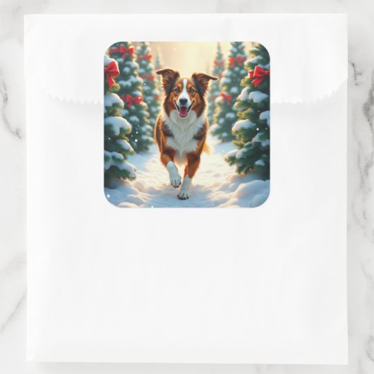 Australian Shepherd Christmas Tree Farm Painting Vierkante Sticker (Tas)