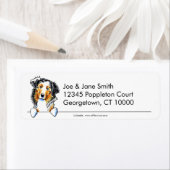 Australian Shepherd Clean in Simple Etiket (Insitu)