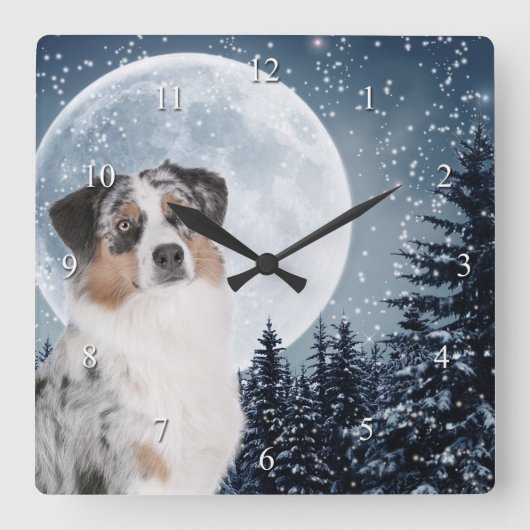 Australian Shepherd Clock Vierkante Klok (Voorkant)