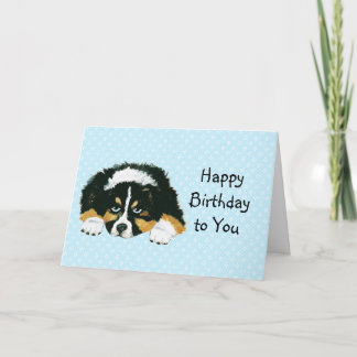 Australian Shepherd Custom Happy Birthday Kaart