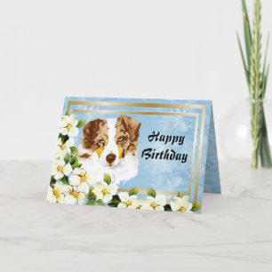 Australian Shepherd Custom Happy Birthday Kaart