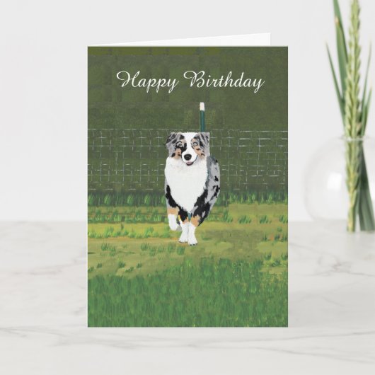 Australian Shepherd Custom Happy Birthday Kaart (Voorkant)