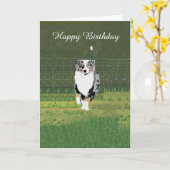Australian Shepherd Custom Happy Birthday Kaart (Gele Bloem)
