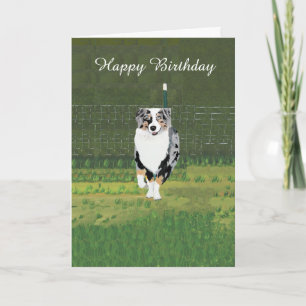 Australian Shepherd Custom Happy Birthday Kaart