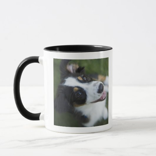 Australian Shepherd die op achterpoten staat Mok (Links)