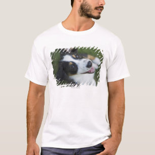 Australian Shepherd die op achterpoten staat T-shirt