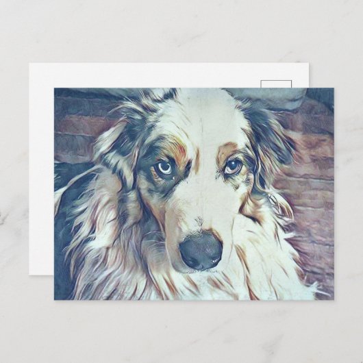 Australian Shepherd Digital Art Briefkaart (Voorkant / Achterkant)