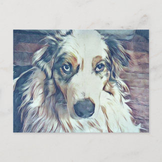 Australian Shepherd Digital Art Briefkaart
